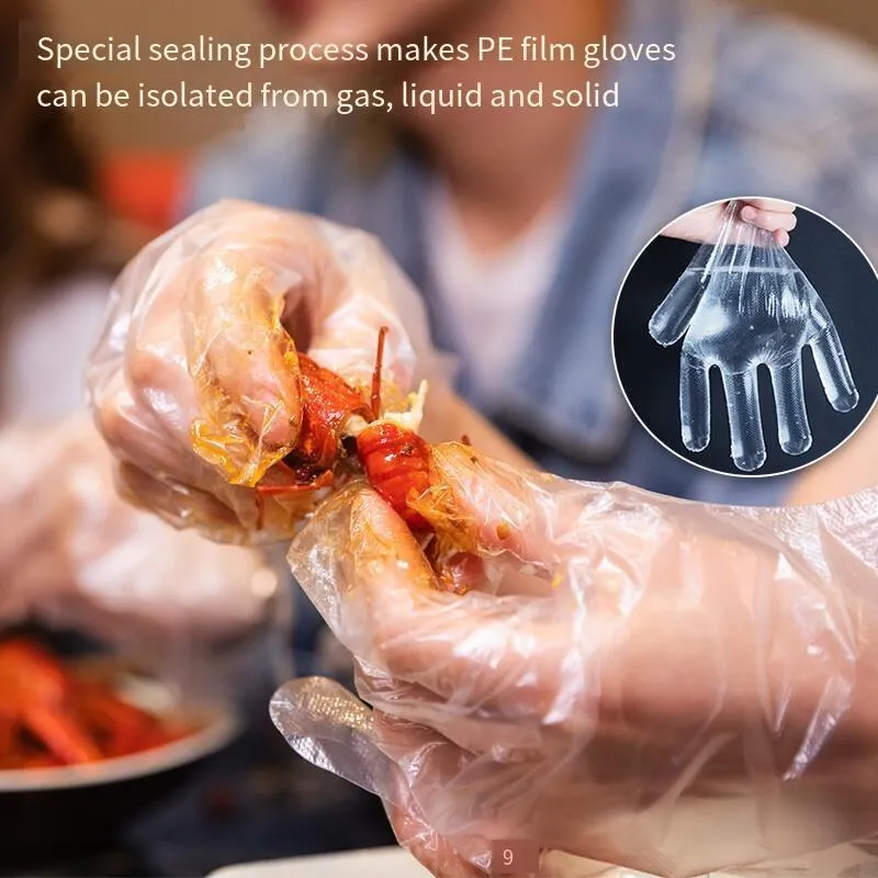 15 Bags Disposable Food PE Gloves Cosmetic And Sanitary Film Catering And Barbecue Gloves 100 Pieces / Bag Transparent Average Size